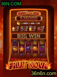 Descubra o Fascinante Mundo de FruitNova